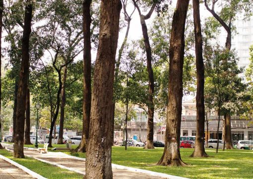 30/4 Park in HCMC – Destination for Relaxation in Nature