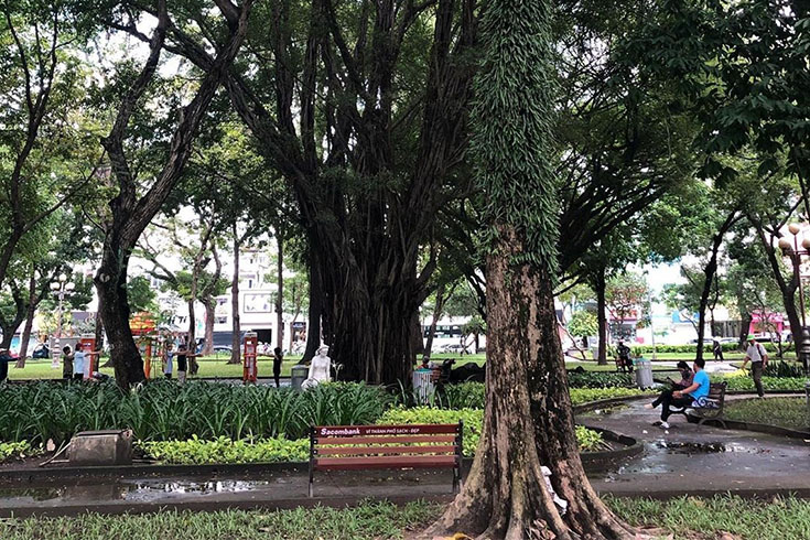 Activities in Le van tam park