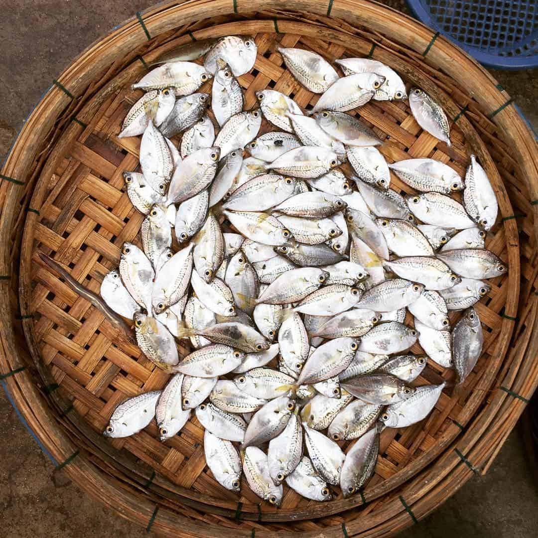 An bang market - markets in Hoi An