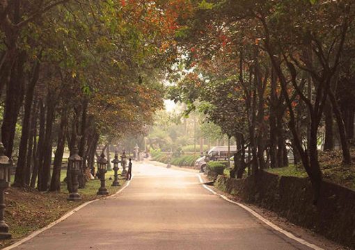 Ba Vi National Park, Hanoi