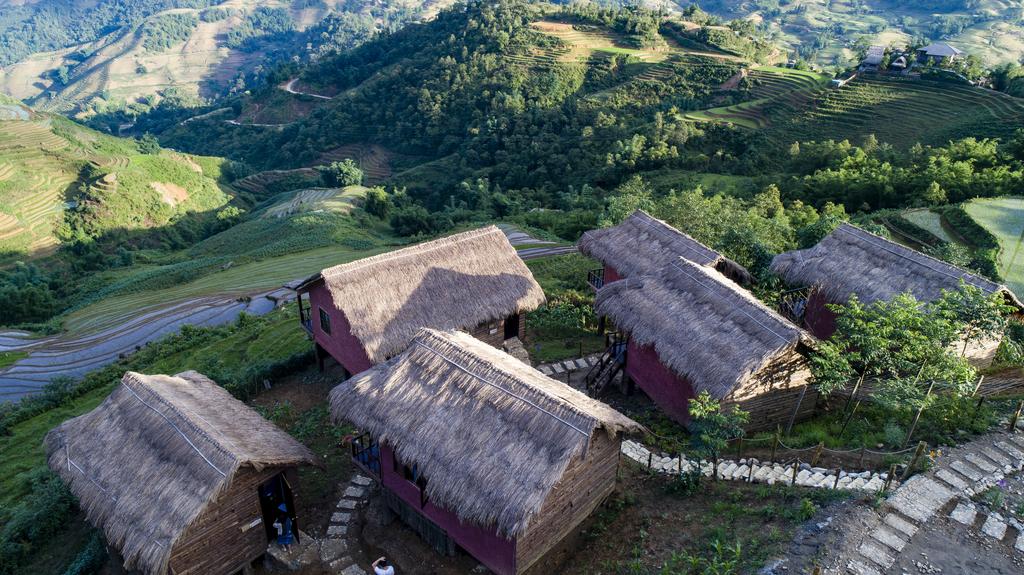 bamboo-house