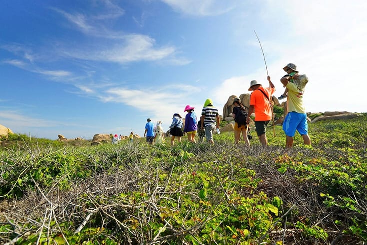Best time to visit Cu Lao Cau island