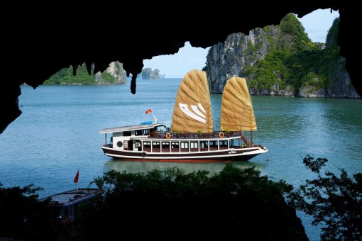 Bo Nau Cave: Unique Beauty in Halong Bay