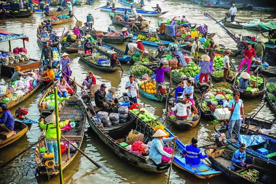 Cai Rang Floating Market Highlights