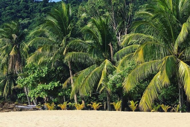 4. Cham Islands, Quang Nam Province