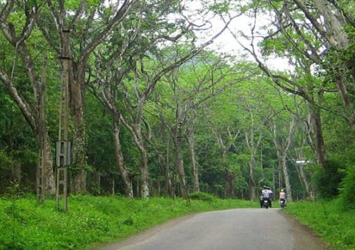 Lost in Chu Yang Sin National Park
