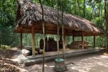 Cu Chi Tunnels Half Day Small Group Tour