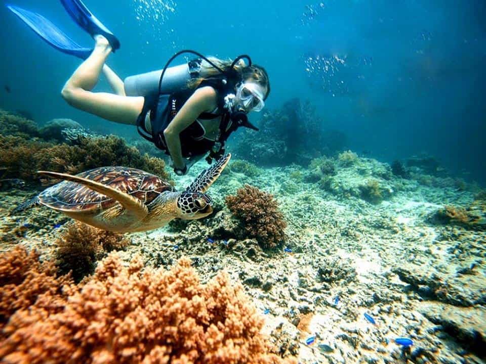 Diving in Halong