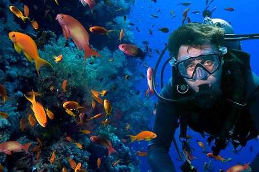 Diving in Hoi An – An Amazing Experience & Activity to Try