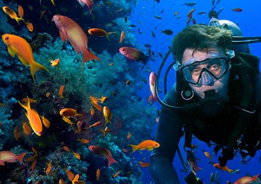 Diving in Hoi An – An Amazing Experience & Activity to Try