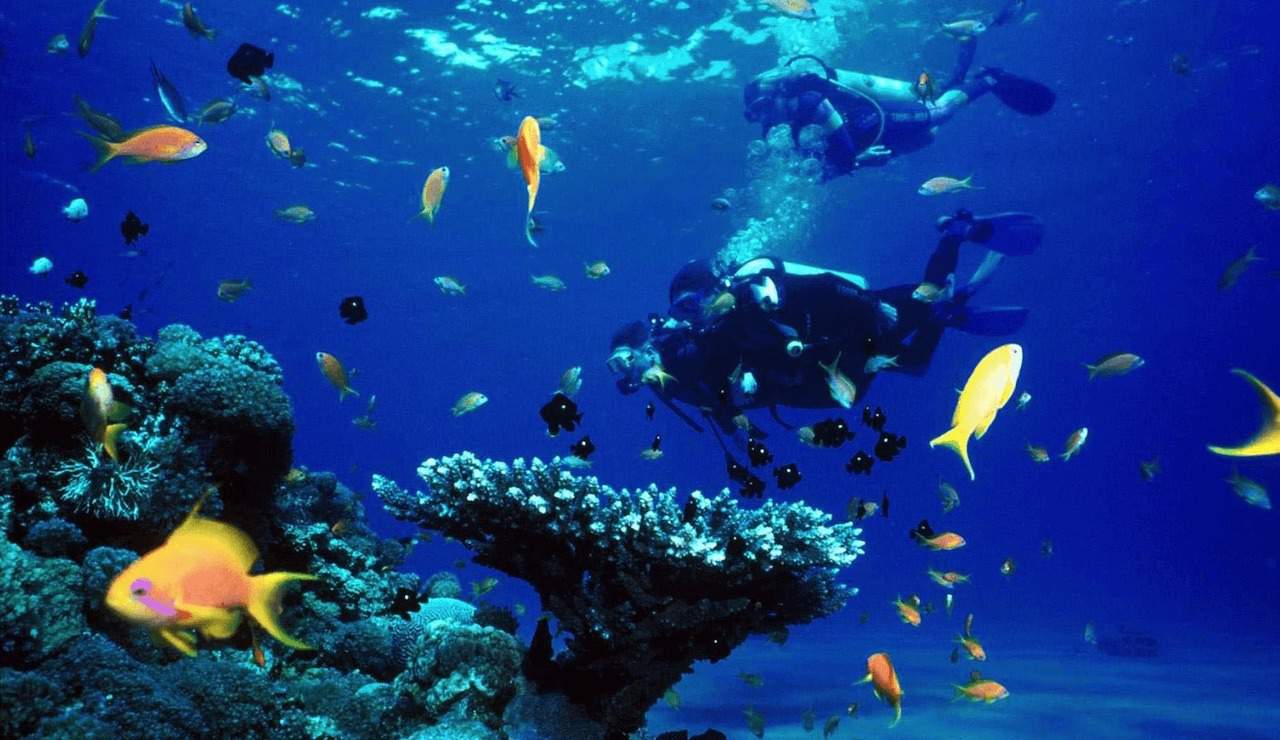 Diving in Phu Quoc