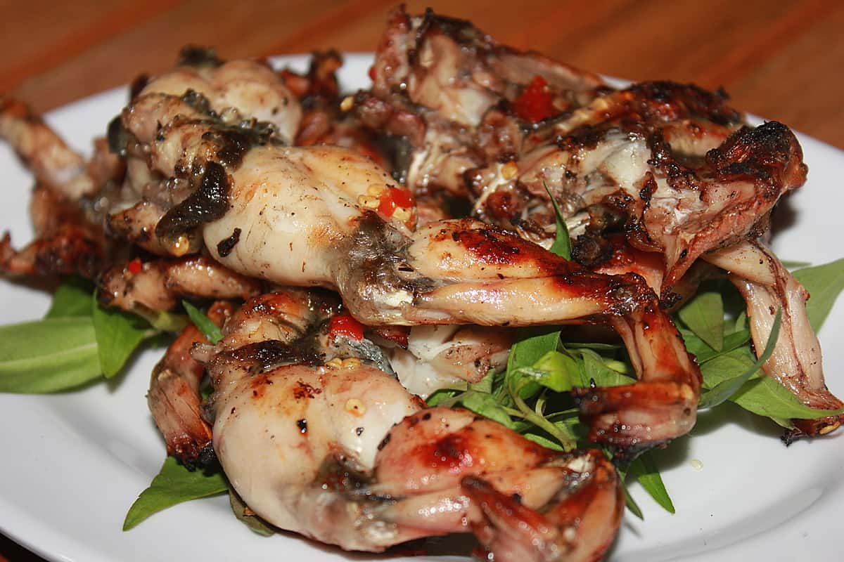 Grilled Lizards and Frogs - weird Vietnamese food