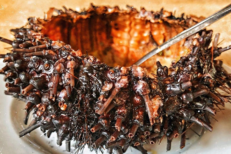 Grilled Nhum with strange flavor