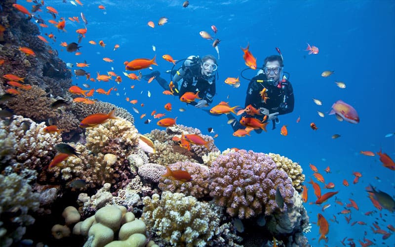 Halong bay diving