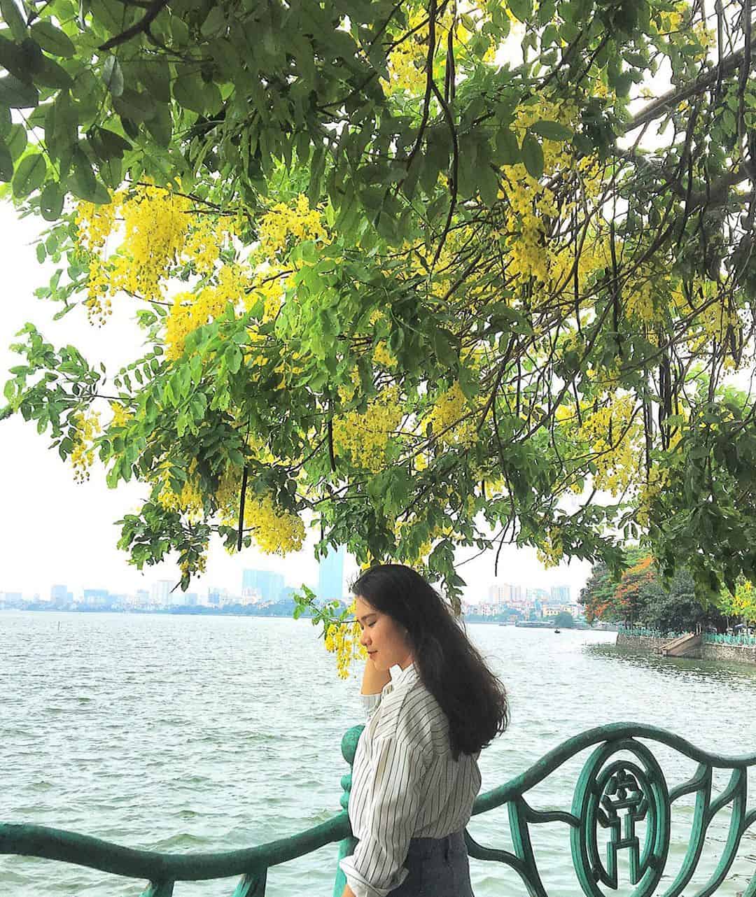 Hanoi Scams Photo