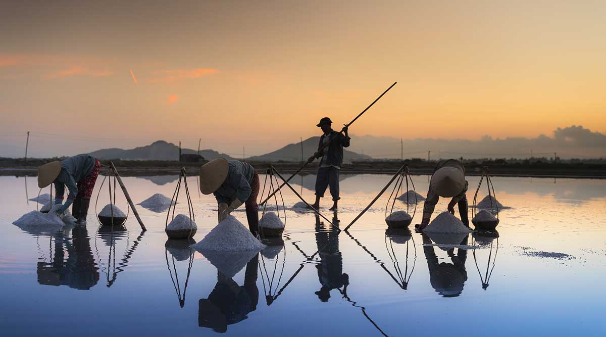 Highlights of Hon Khoi salt fields