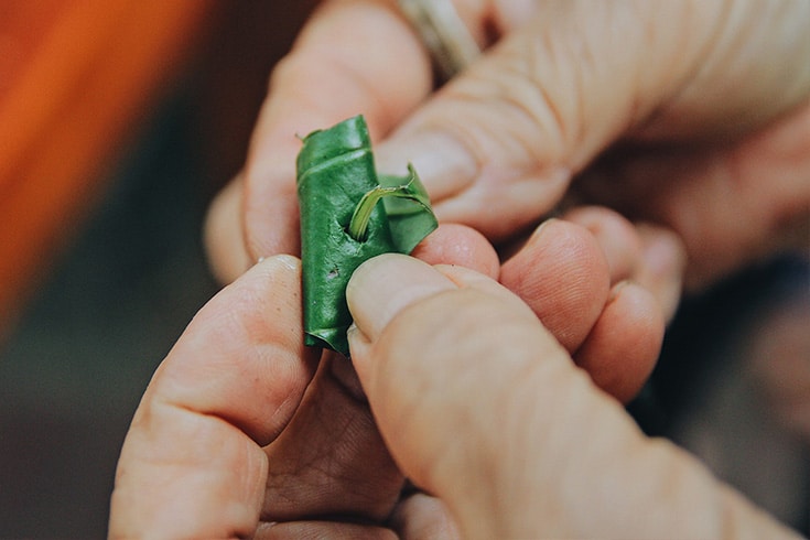 How To Use Betel Nuts