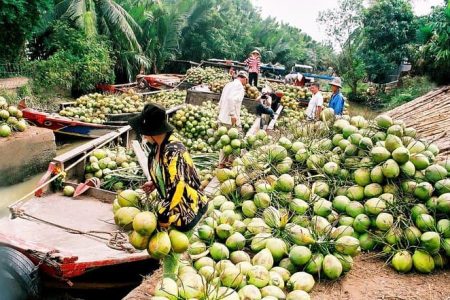 Insight Mekong Delta One Day Tour, Daily Departure