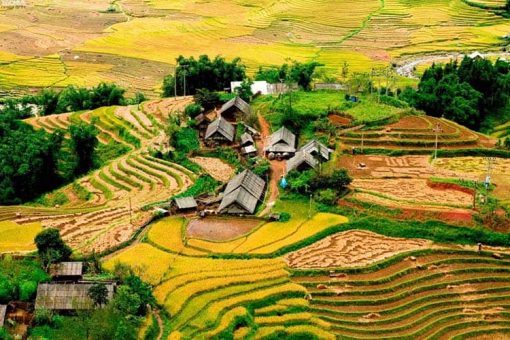 Lao Chai Village: An Instagram-Worthy Spot in Sapa