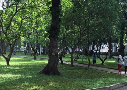 Le Van Tam Park in Ho Chi Minh City