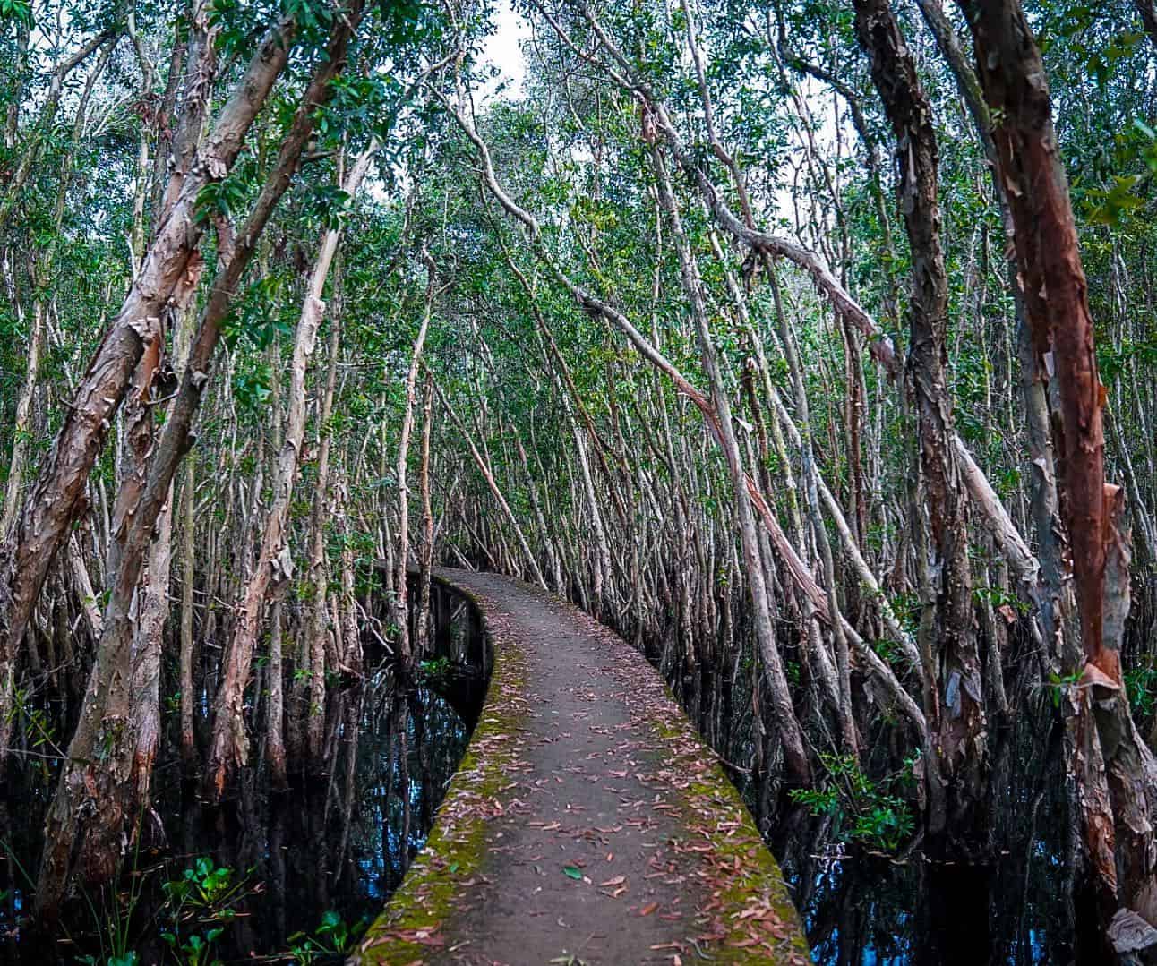 Long An - Mekong delta provinces