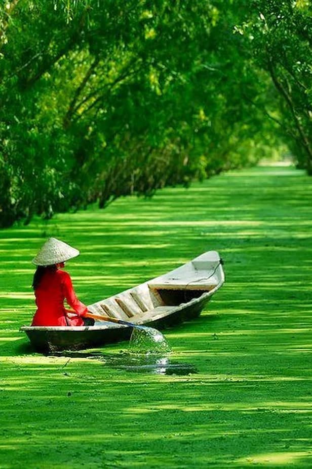 Vietnamdiscovery-Mekong Delta