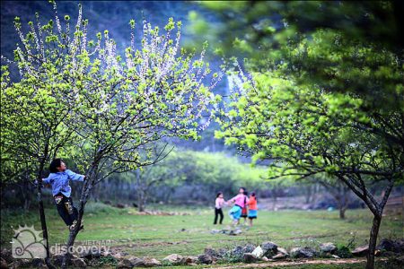 Discovering Colorful Northwest Loops of Vietnam