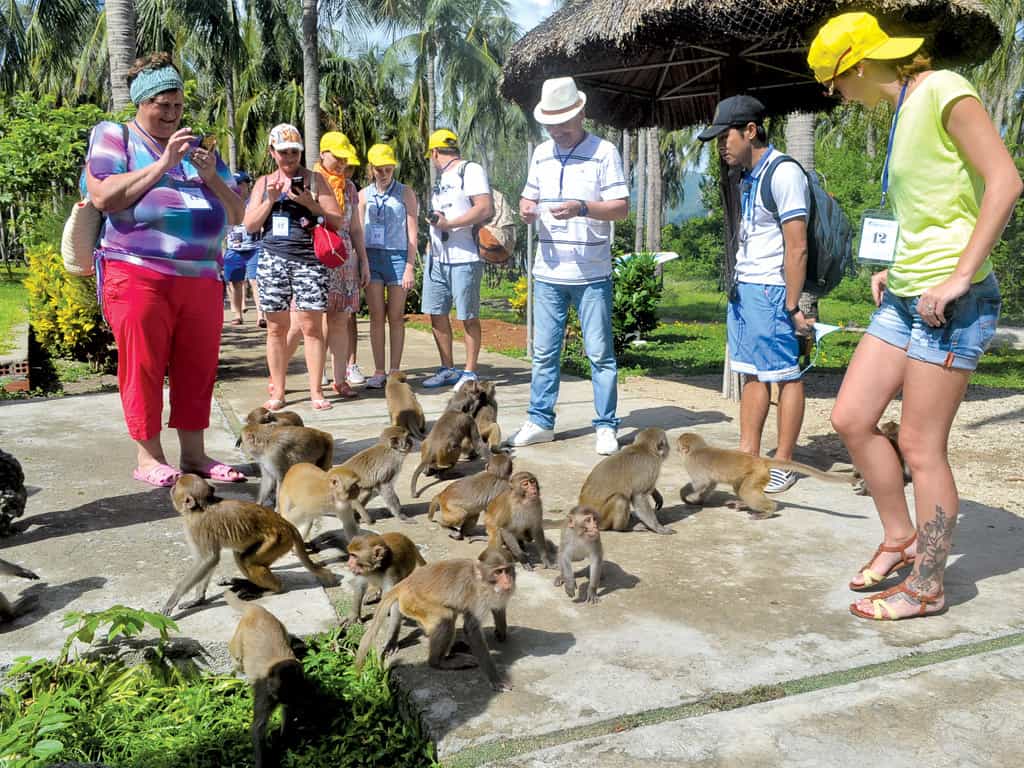 monkey-sanctuary