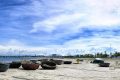 Vietnamdiscovery - My Khe Beach – a Beautiful Beach in Danang