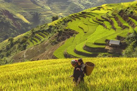 Hanoi – Halong 5-star Cruise – Sapa – Fansipan&hellip;