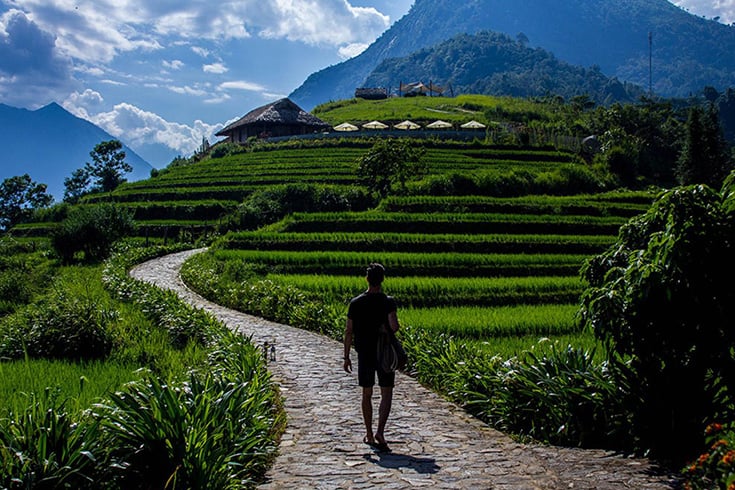 Path in Hoang Lien national park