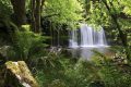 Vietnamdiscovery - Phu Quoc National Park – One of The Best Nature Wonders in Phu Quoc