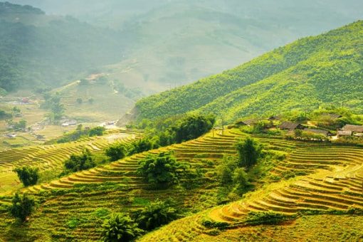 Ultimate Guide To Best Homestay In Sapa – Top 8 Highly Recommended By Tourists