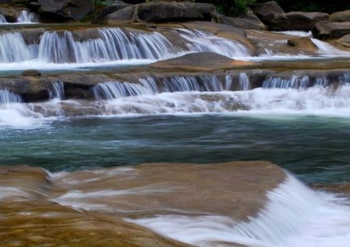 Yang Bay Eco Park, The Harmony Of Humans And Nature