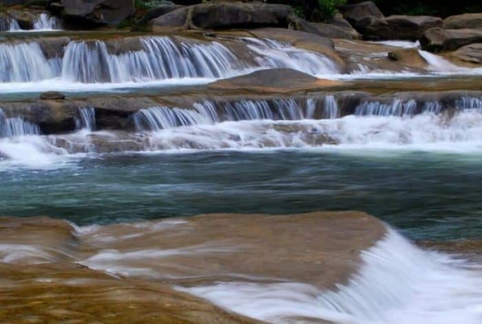 Yang Bay Eco Park, The Harmony Of Humans And Nature