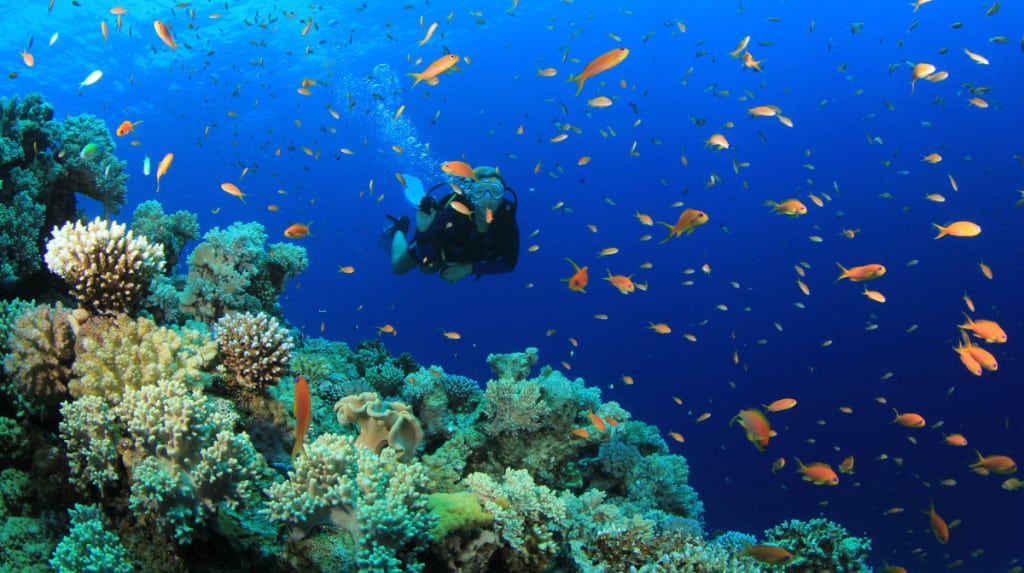 Scuba diving in Halong bay - Halong Bay in December