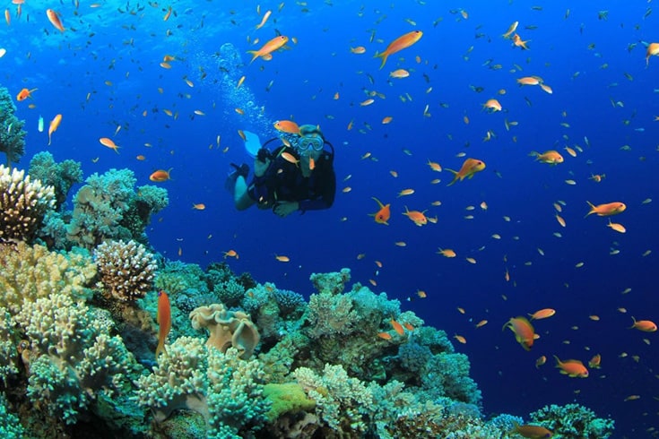 scuba diving in Halong bay