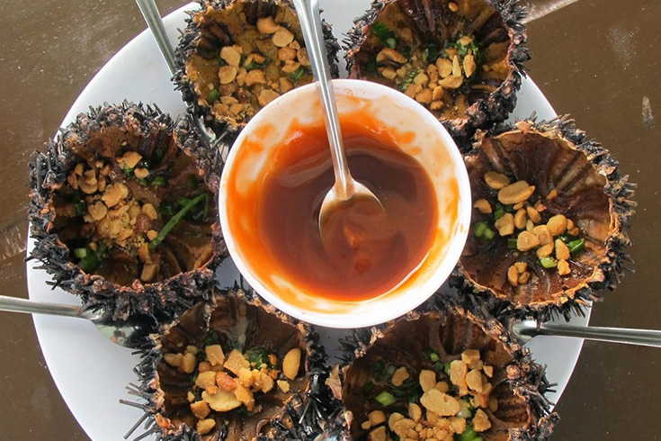 Sea urchin
