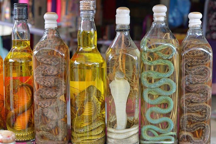 Snake wine