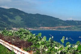 Son Tra Peninsula - A Scenic Landscape in Danang, Vietnam