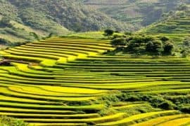 14 Rewarding Things to Do in Sapa for First-Timers