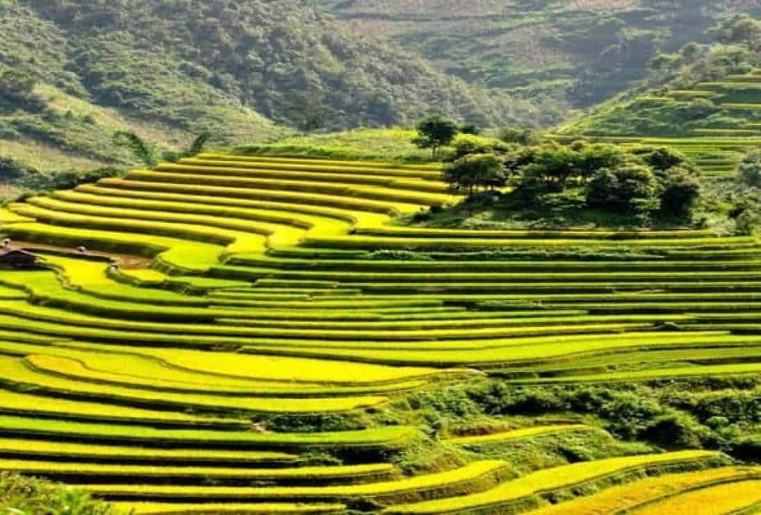 14 Rewarding Things to Do in Sapa for First-Timers