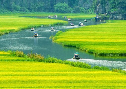 Tam Coc-Bich Dong, Ninh Binh