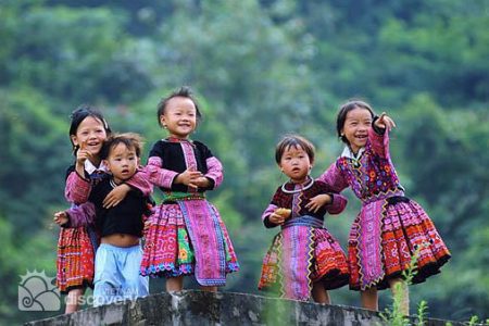 Vietnam Northern Highlights