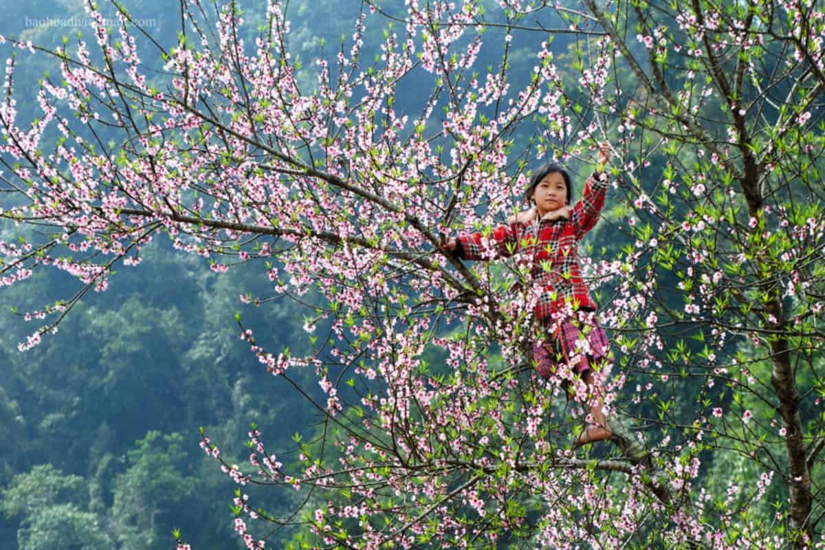 The Best Time to Visit Lao Chai Village