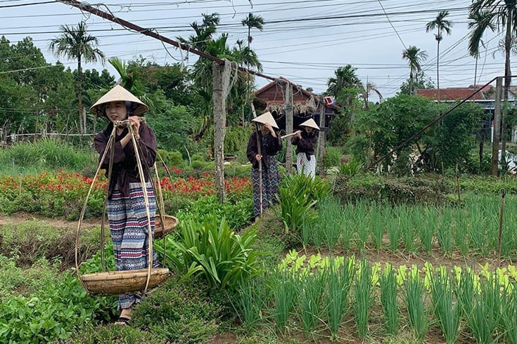 Tourists take part in Tra Que Garden cooking class