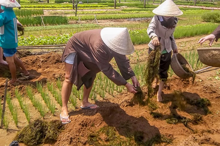 Tra Que Herb Village