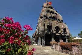 Discover The Mysterious Nha Trang Marine in Tri Nguyen Aquarium, Vietnam