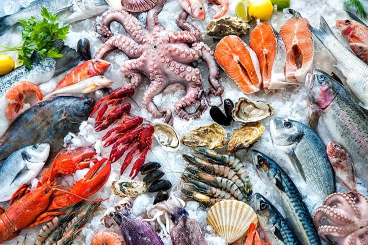 Trying The Freshest Seafood - best things to do in Nha Trang