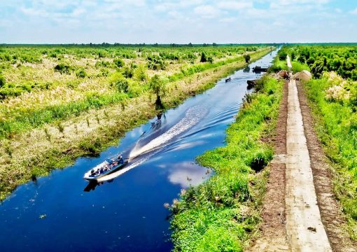 U Minh Thuong National Park – A New Attractive Destination in Kien Giang